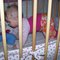 Jfk_mai_042_grid