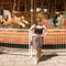 100_1877_grid