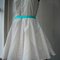 Circleskirt4_grid