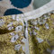 Dsc_2834_grid