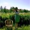 Shorts_or_skirts_8__grid