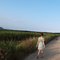 P1010464_modif_grid