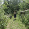 Dsc02213_grid