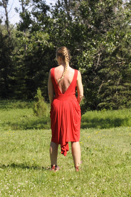 Dd5_rdress_4_large