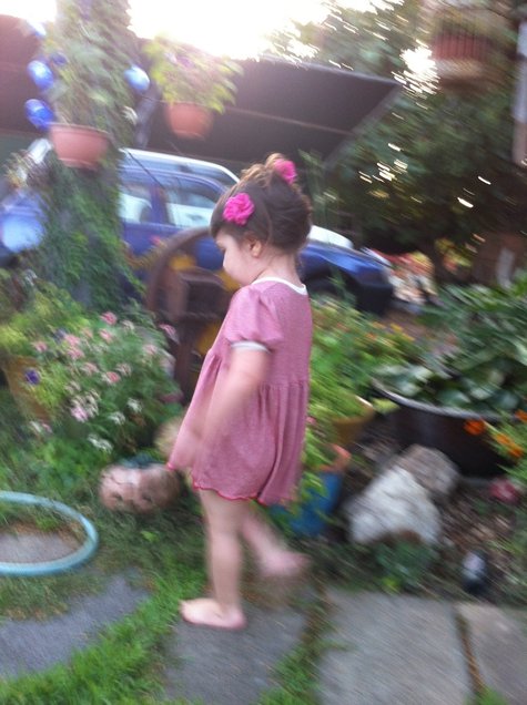 Picture_558_large