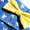 Dscf6782_grid