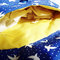 Dscf6783_grid