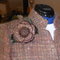 Dscn0897_grid