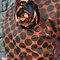 Spots07_grid