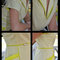 Stripes10_grid