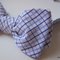 Bowtie_008_grid