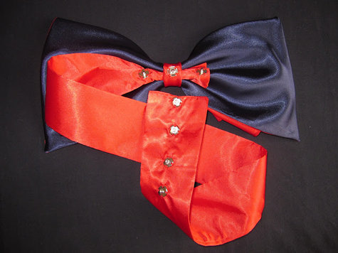 Lisette_bow_2__large