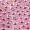 Sureau2_grid