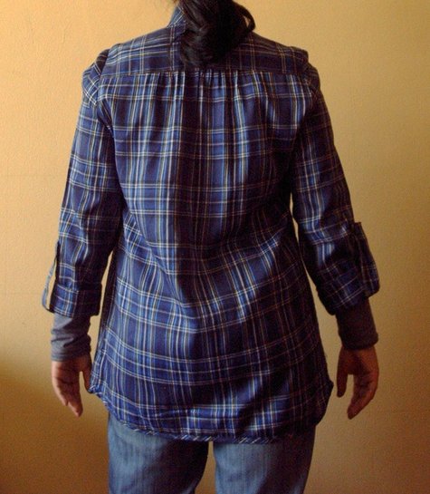 Back_blue_plaid_large