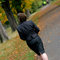 Bs_jacket_back_trees_grid