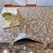 Dscn0692_grid