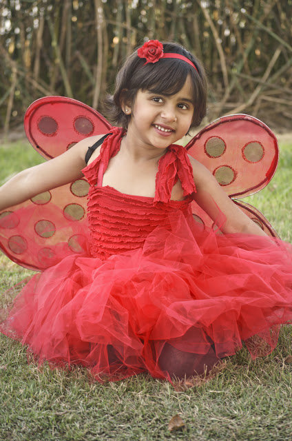 Ladybug_costume_large