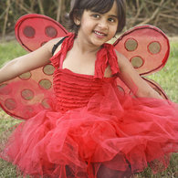 Ladybug_costume_listing