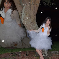 Final_picture_listing