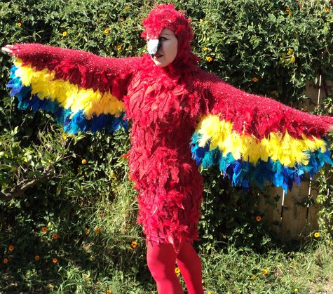 Polly_parrot_costume_4_2012_large