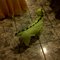 Img-20121031-00082_grid