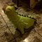 Img-20121031-00086_grid