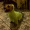 Img-20121031-00087_grid