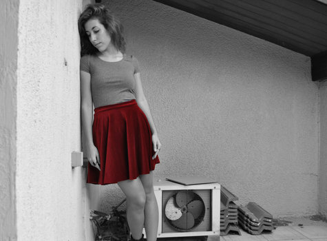 Velvet_skater_skirt_1_large