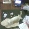 2928685_grid