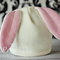 Bunny_feature_grid