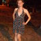 Dsc00366_grid