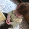 2012-11-07_00_52_05_grid