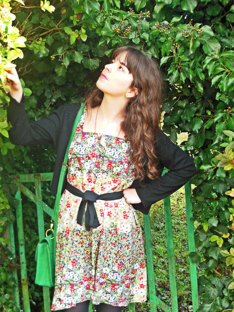 Fairy_dress_3__large