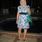 Chiffon_3_grid