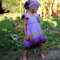 Purpledress4650px_grid