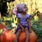 Purpledress7650px_grid