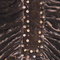 P1220130_grid