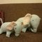 Img-20121219-wa0003_grid