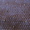 Img_3036_grid