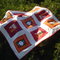 Dsc01882_grid