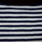 100_9747_grid