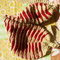 Picture_228_grid