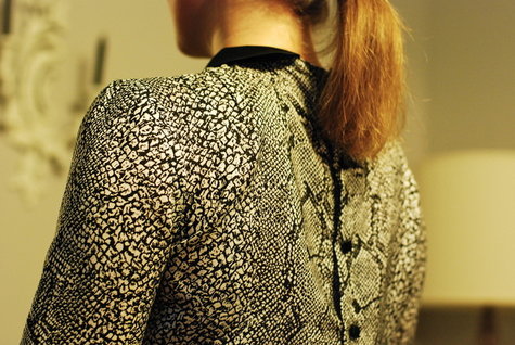 5008212_large