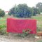 Dsc01868_grid