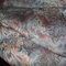 Dscf6244_grid