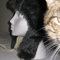 Hats120113_003_grid
