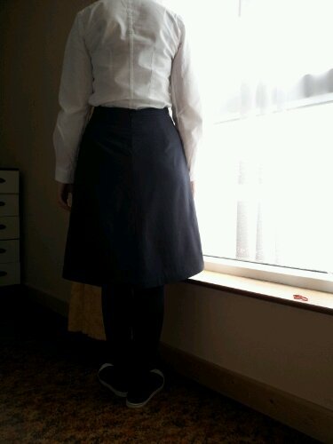 Greyskirt3_large