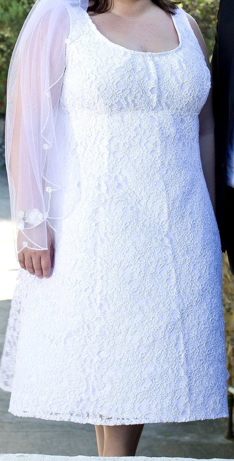 The_dress_2_large