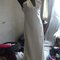 Luwane_20_5__grid