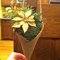 Pew_cone_on_wood_trial_grid